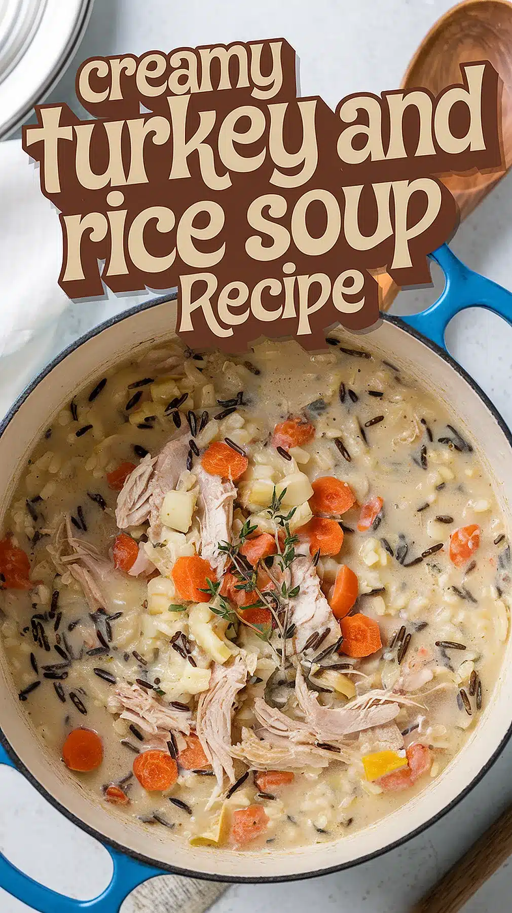 Turkey and Rice Soup