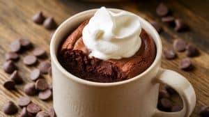 Brownie in a Mug Recipe